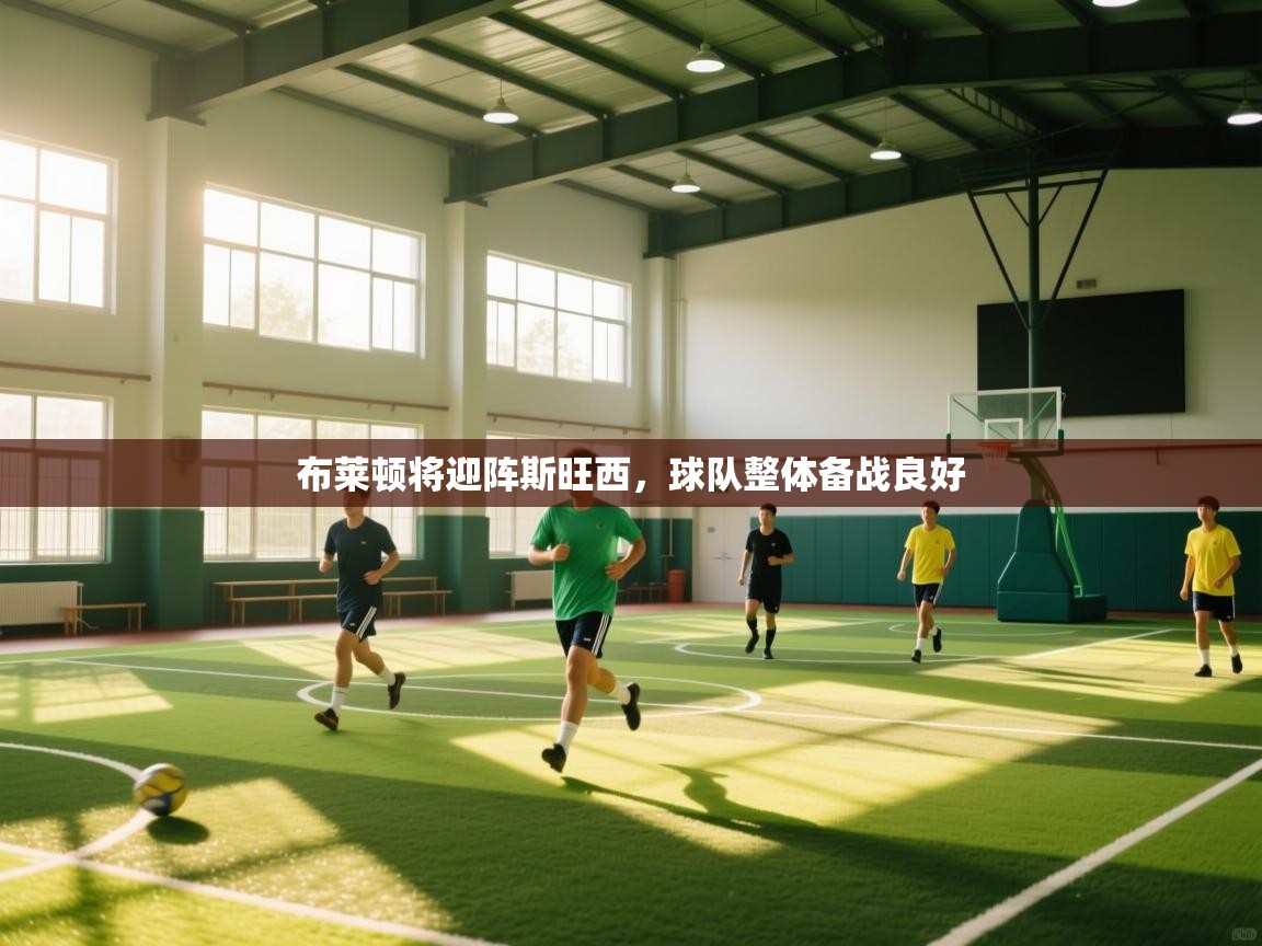 布莱顿将迎阵斯旺西，球队整体备战良好  第1张