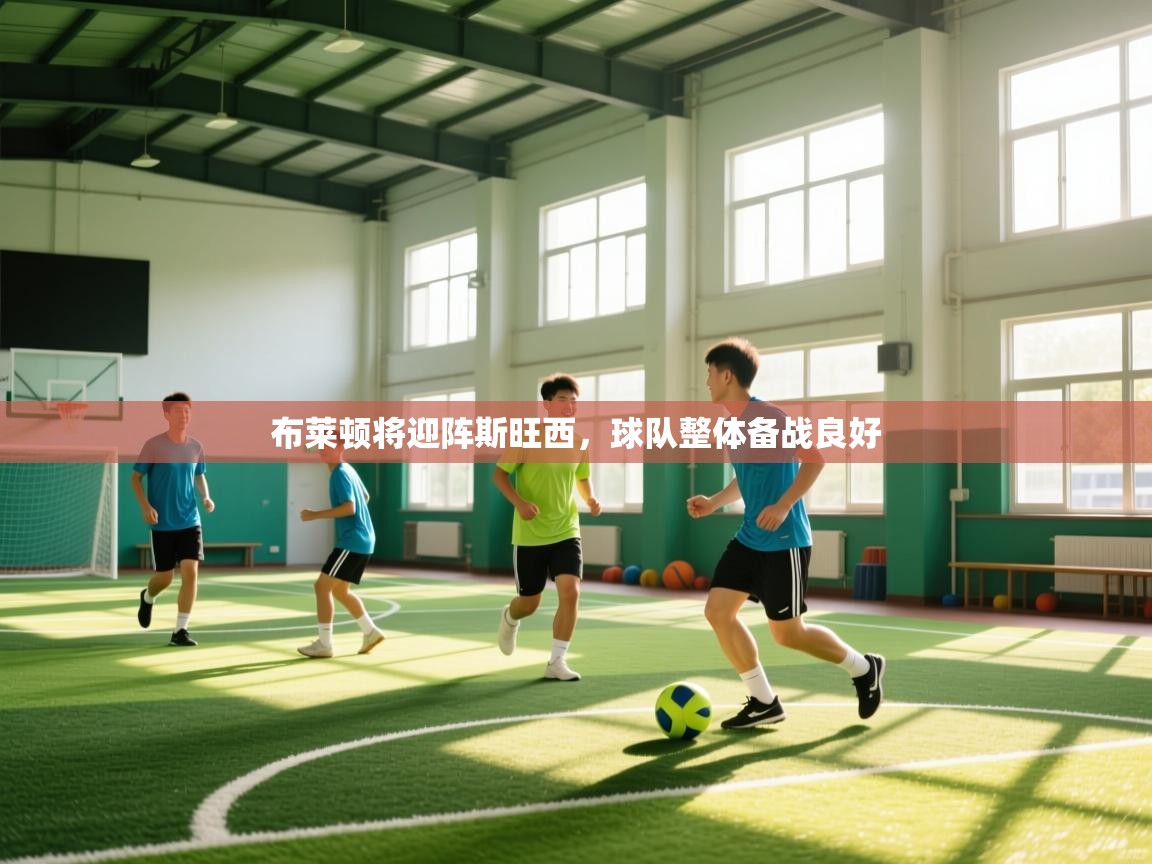 布莱顿将迎阵斯旺西，球队整体备战良好  第2张